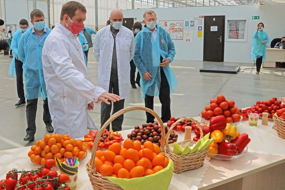 Экономика